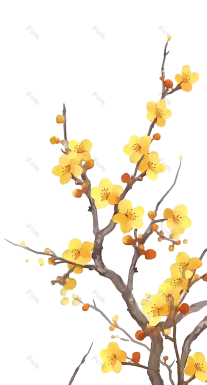 黄色的花图片,灰色背景元素,PNG,免抠素材